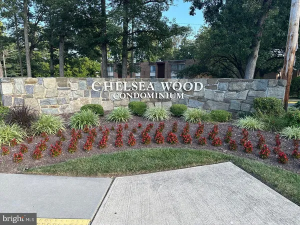 a view of a pathway with a bench