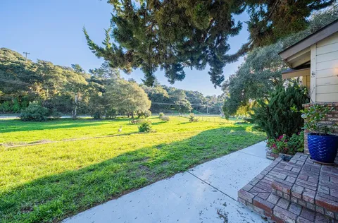 a view of a swimming pool with a garden