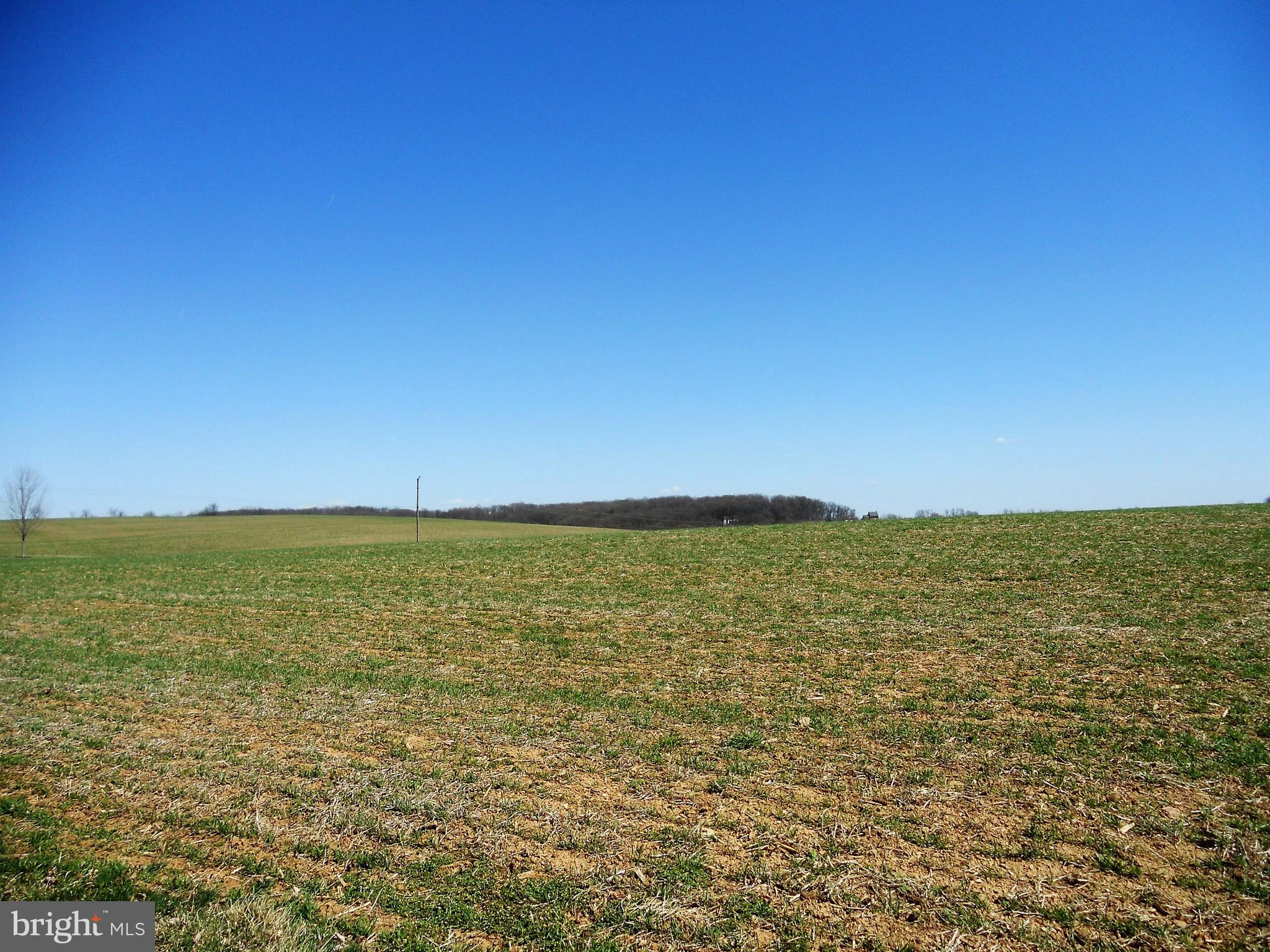 1755 Manchester Road Westminster, MD 21157 - Photo 29 of 38 Backs to open farmland!