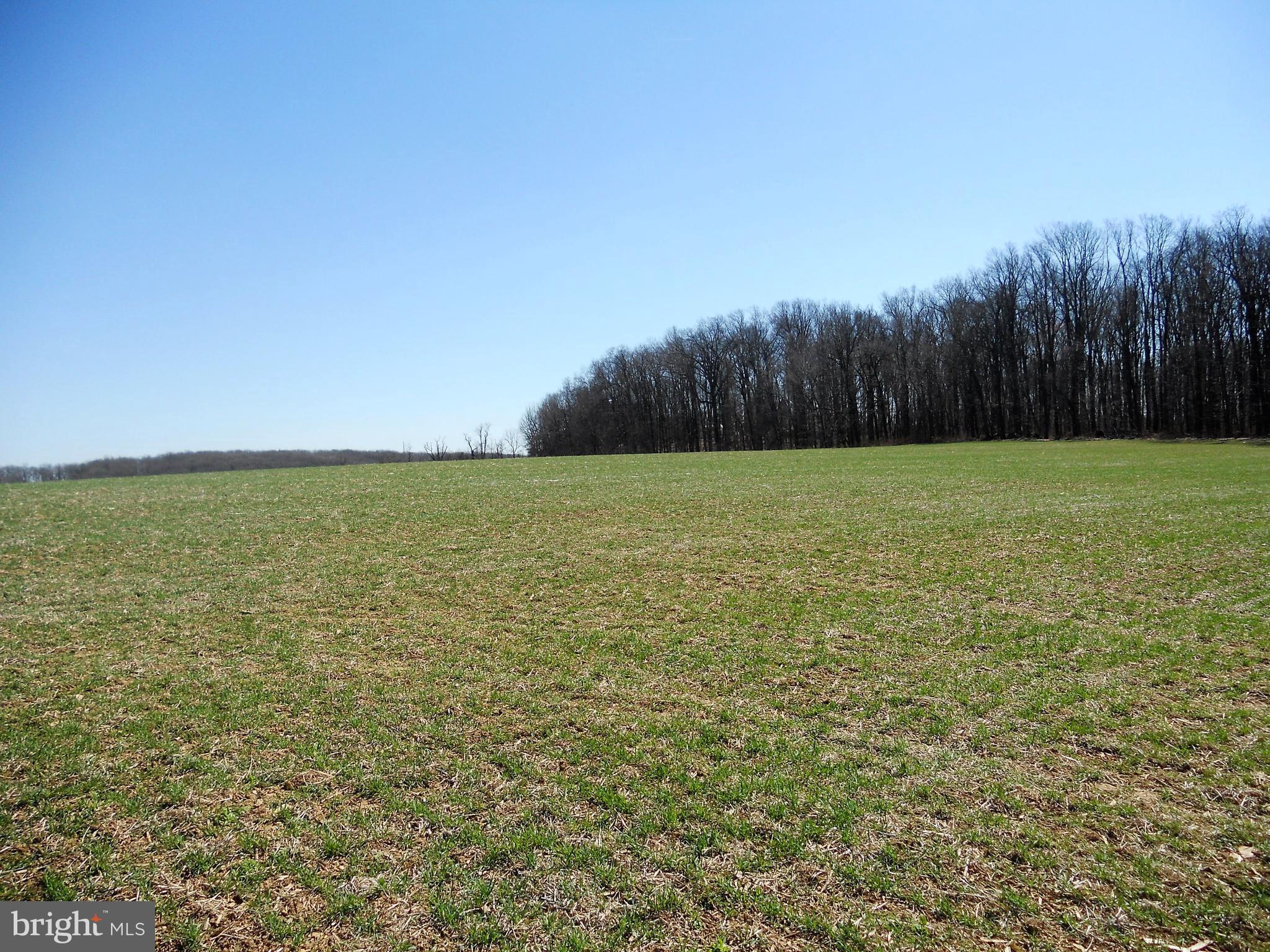 1755 Manchester Road Westminster, MD 21157 - Photo 30 of 38 Open farmland surrounds rear and side.
