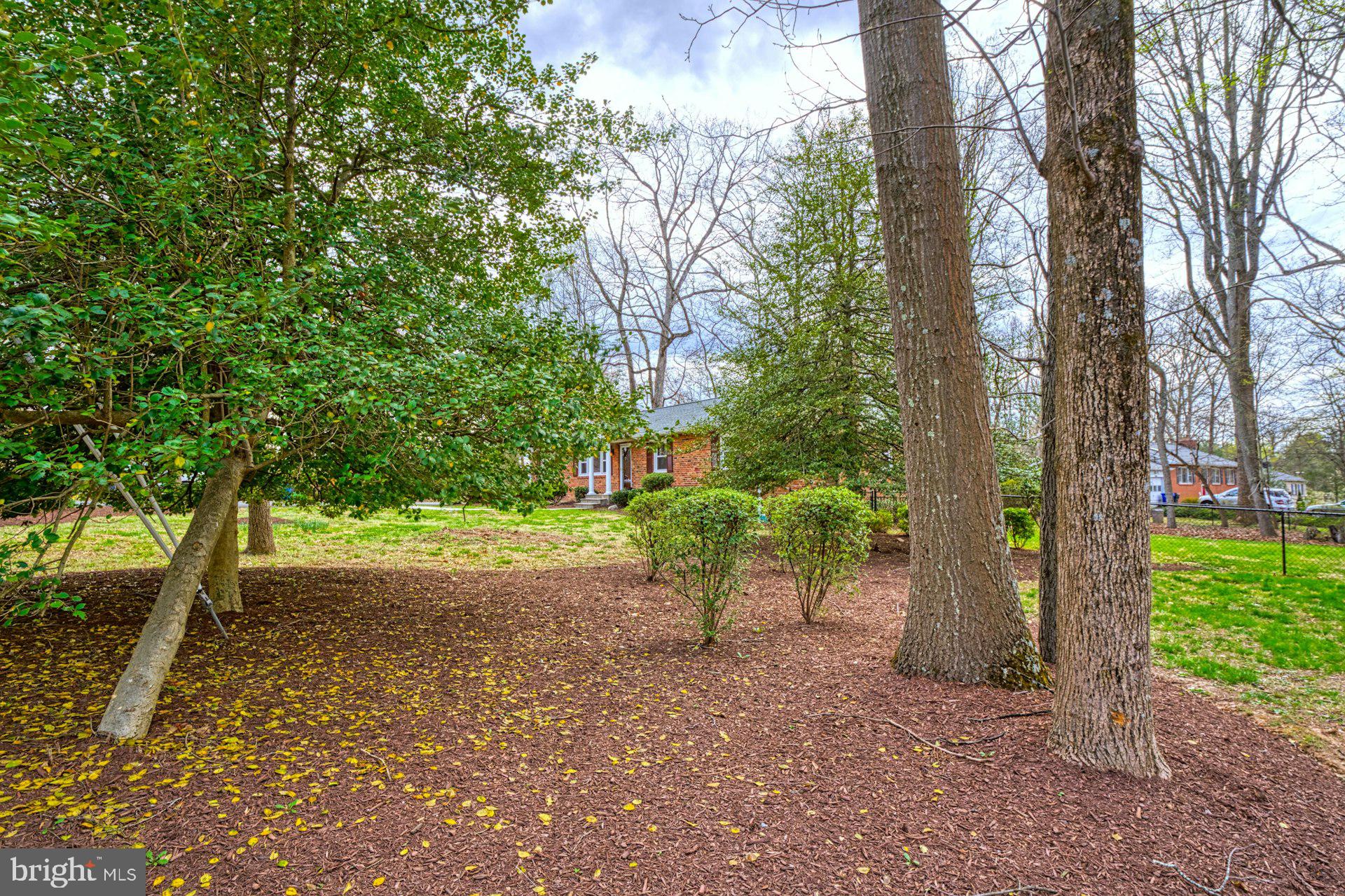 1100 Springvale Road Great Falls, VA 22066 - Photo 19 of 47 a view of a street with large trees