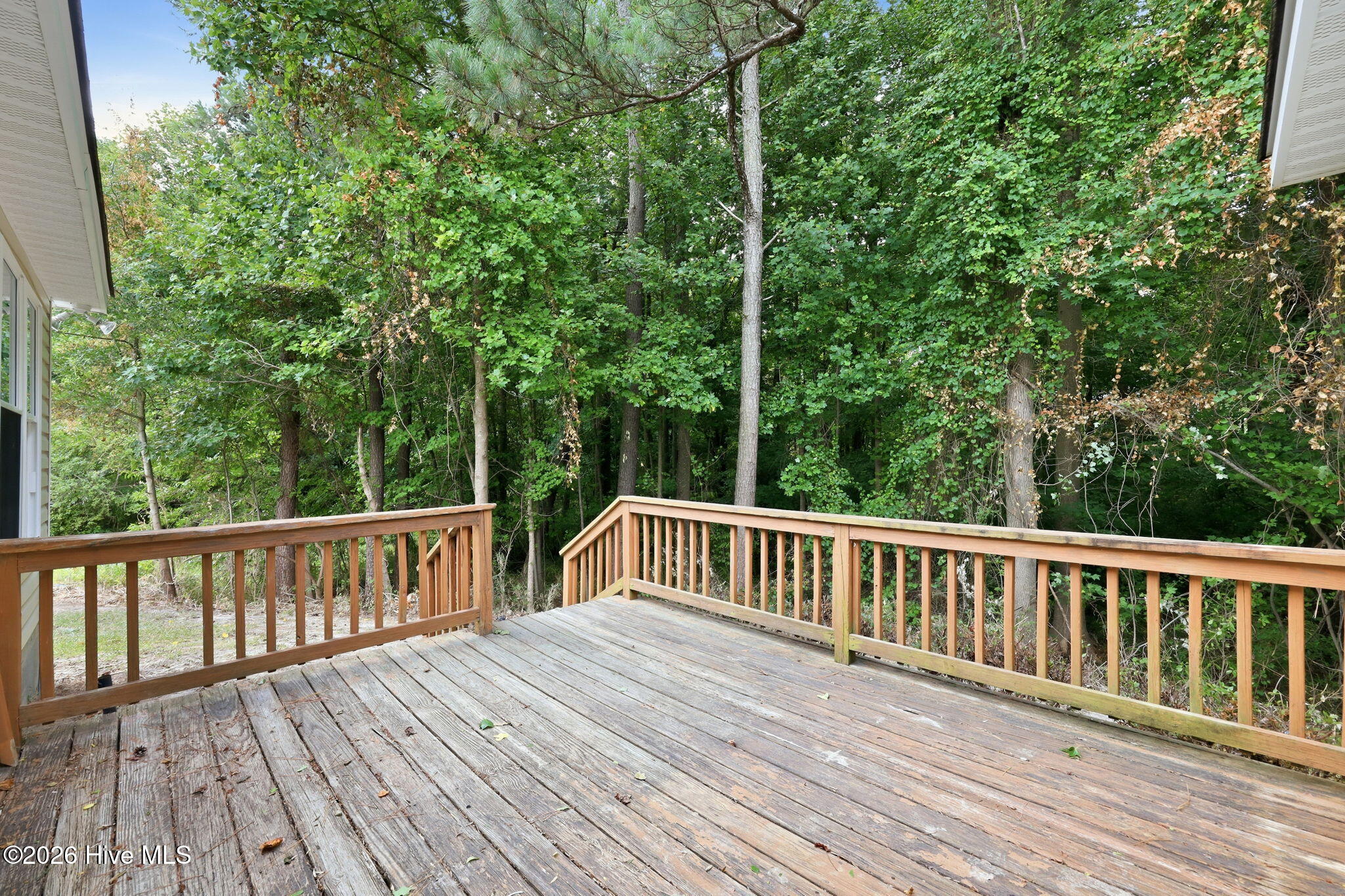 3172 Ruth Court Greenville, NC 27834 - Photo 25 of 51