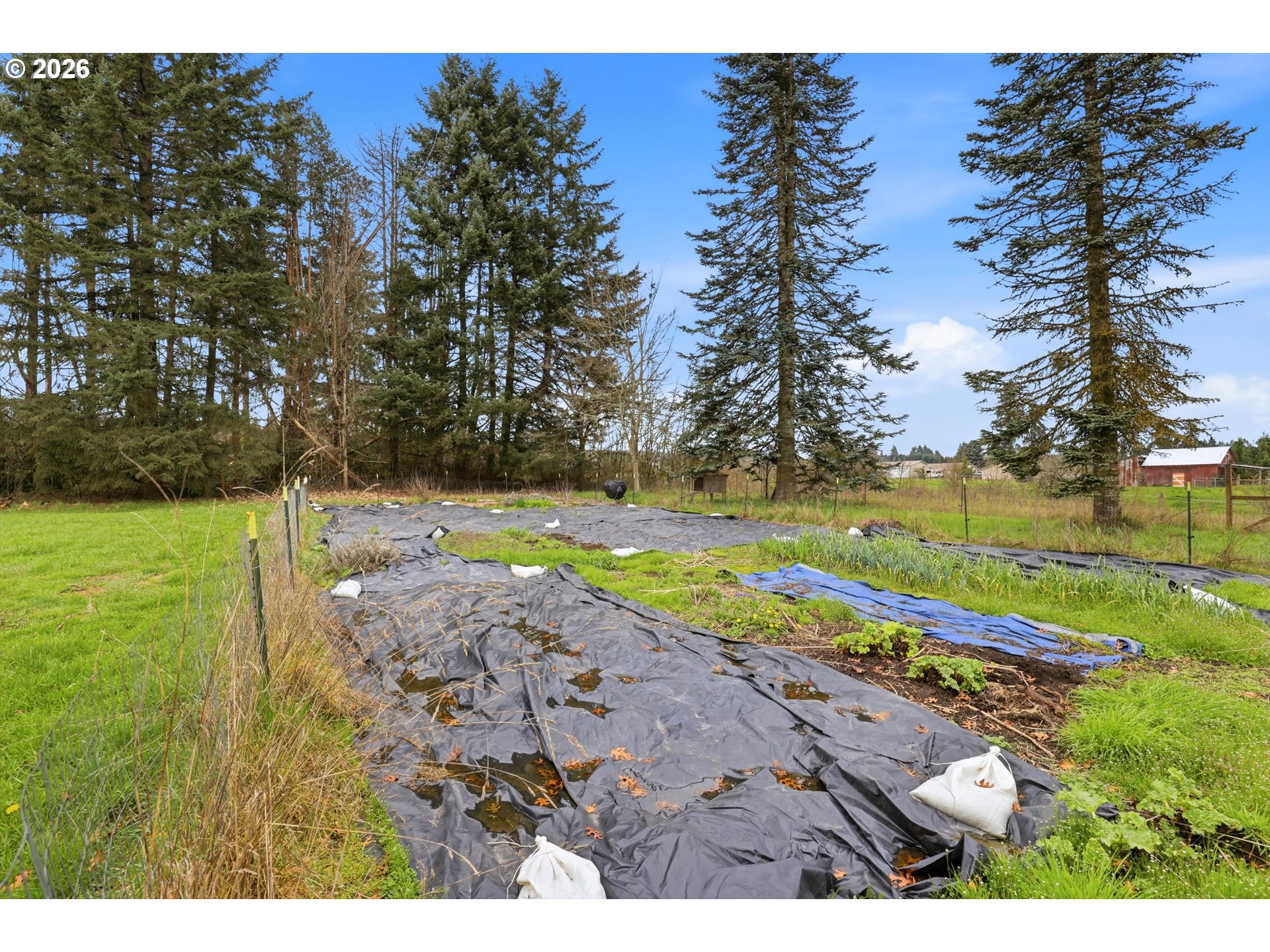 56341 Hazen Road Warren, OR 97053 - Photo 41 of 48
