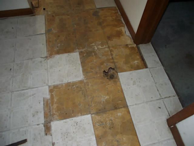 20933 Peoria Loop Road Raymond, OH 43067 - Photo 15 of 17 Gallery Image 15