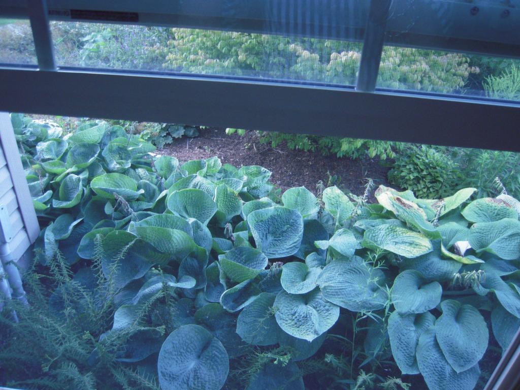 965 Allen Road Panton, VT 05491 - Photo 13 of 16