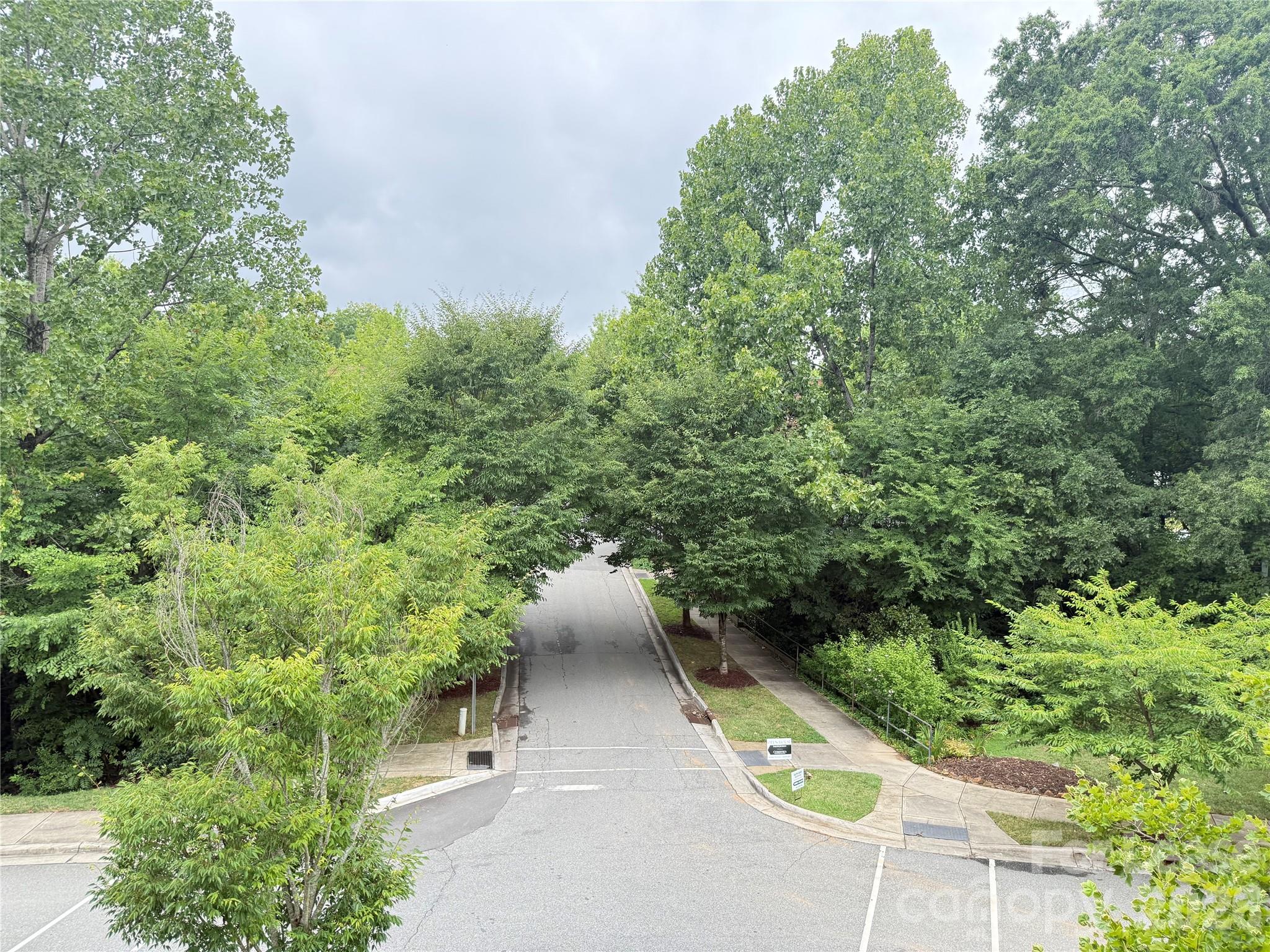 421 Spring Street Davidson, NC 28036 - Photo 15 of 24 a view of a city with lush green forest