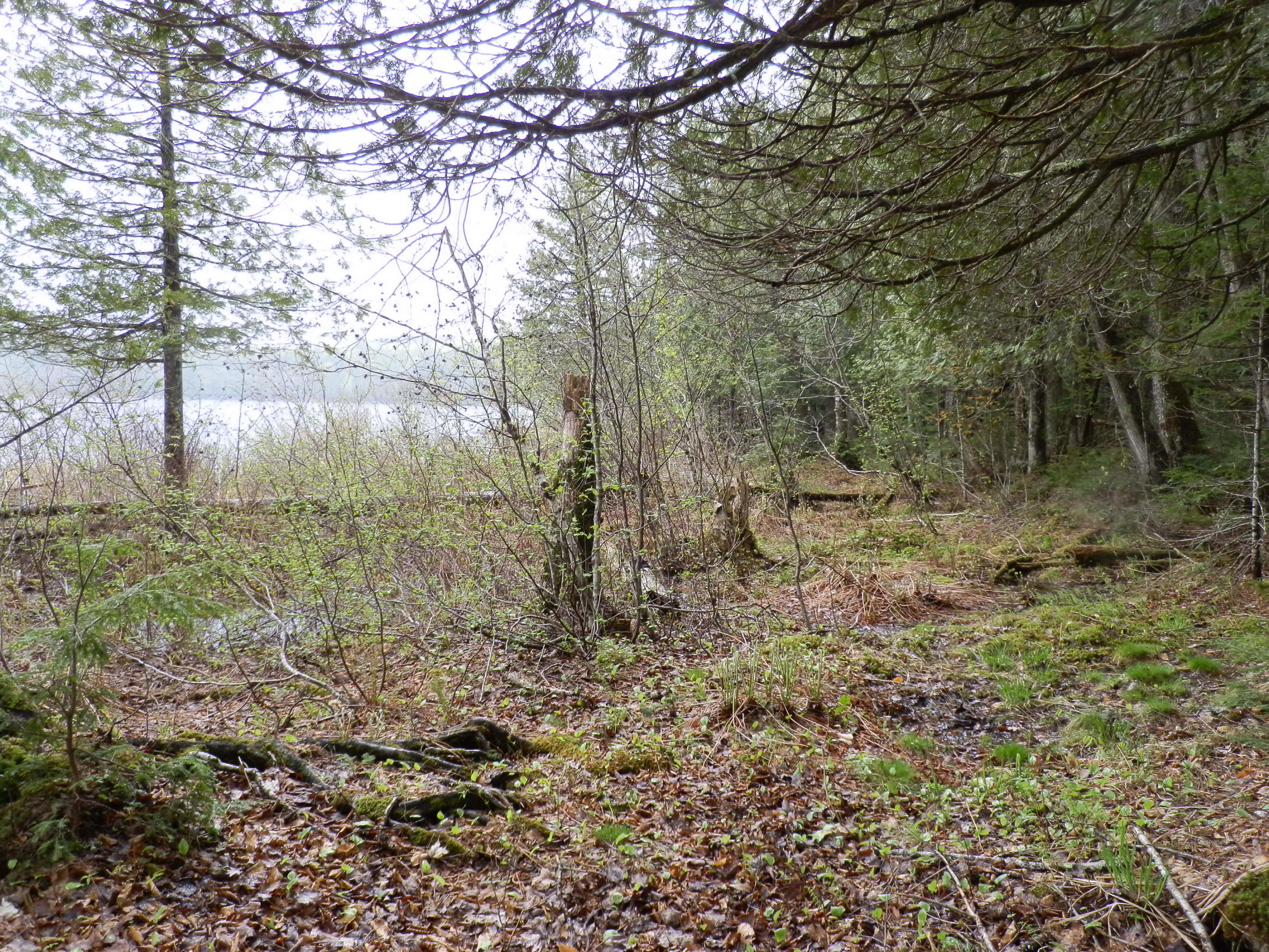 0 Citron Hill Road Sebec, ME 04481 - Photo 12 of 30 P1011741