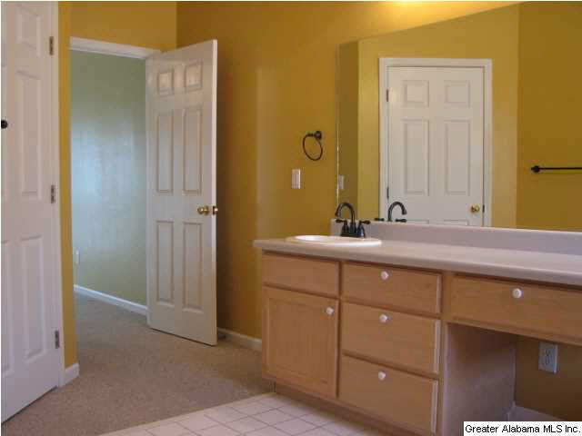119 Grande View Lane Alabaster, AL 35114 - Photo 11 of 27