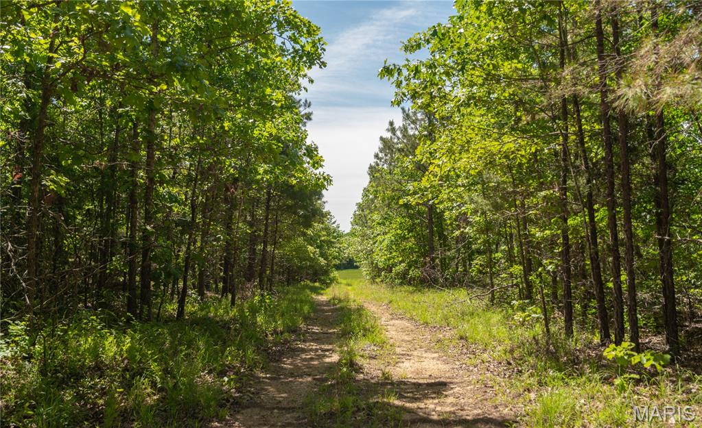 1743 Ripley Route North Doniphan, MO 63935 - Photo 89 of 97
