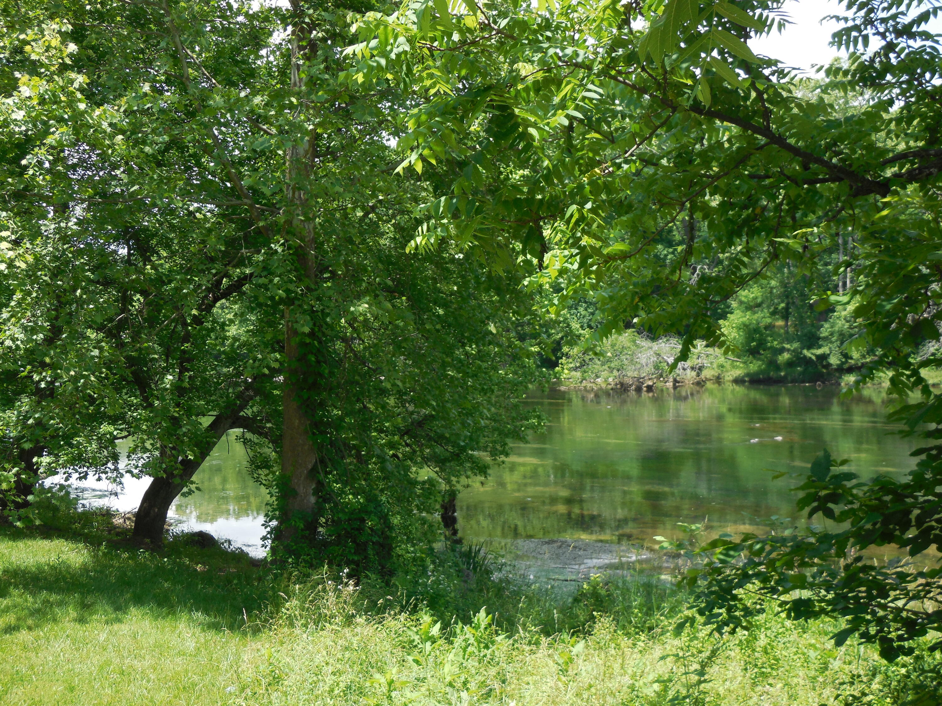 320 Timber Ridge Road Bluff City, TN 37618 - Photo 86 of 91 DSCN3078