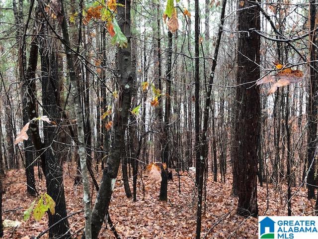 0 Lakeside Lane, Unit 31 Alpine, AL 35014 - Photo 42 of 42