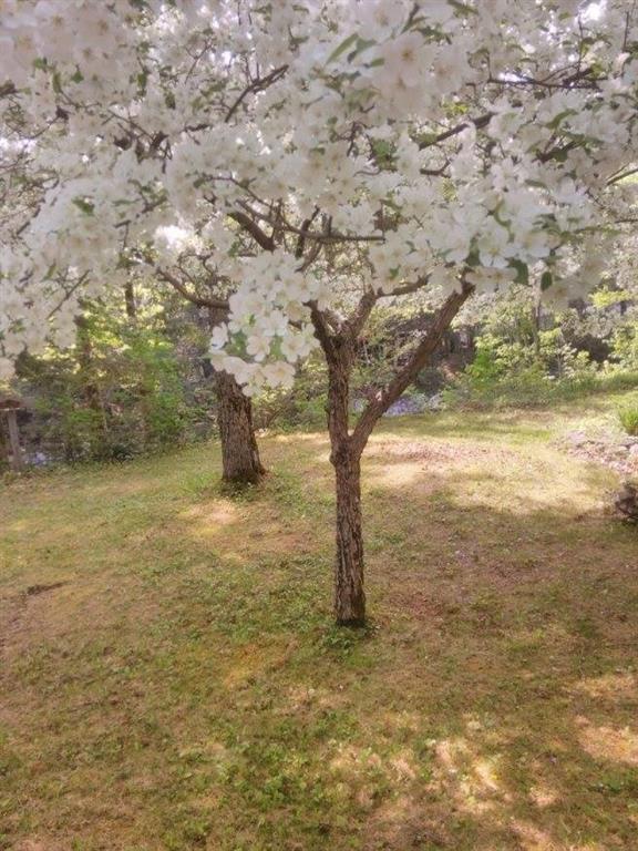 1014 Poplar Stream Road Carrabassett Valley, ME 04947 - Photo 18 of 20 Photo