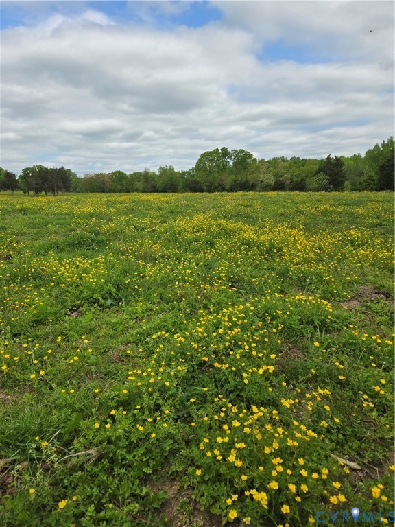 0 Perkinsville Road Maidens, VA 23102 - Photo 11 of 19