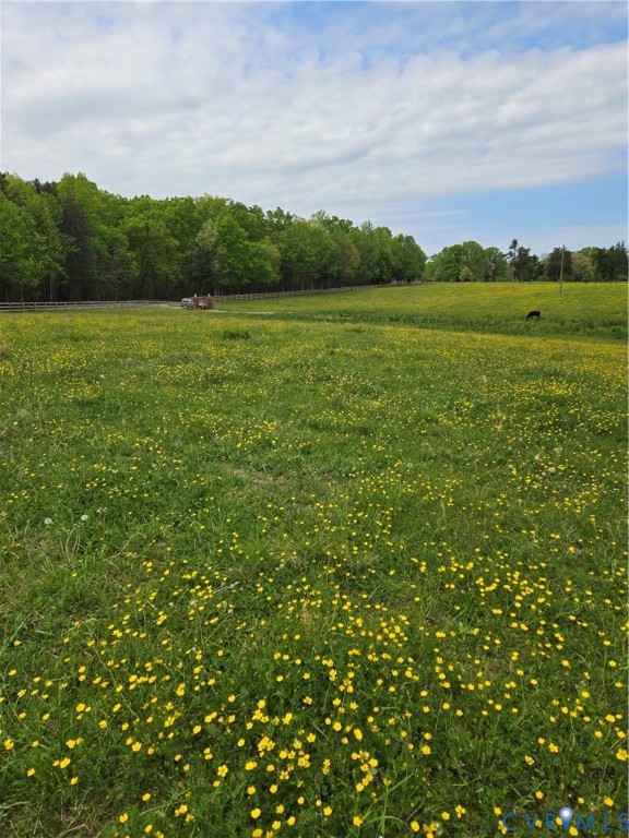 0 Perkinsville Road Maidens, VA 23102 - Photo 17 of 19