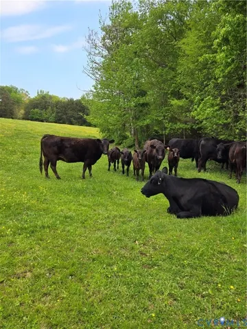 $359,999 | 0 Perkinsville Road, Maidens, VA 23102