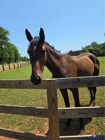 $359,999 | 0 Perkinsville Road, Maidens, VA 23102