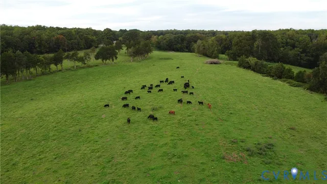 $359,999 | 0 Perkinsville Road, Maidens, VA 23102