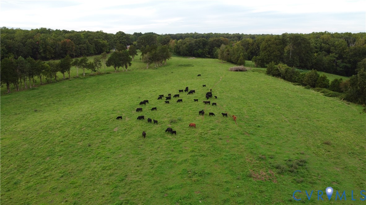 0 Perkinsville Road Maidens, VA 23102 - Photo 2 of 19