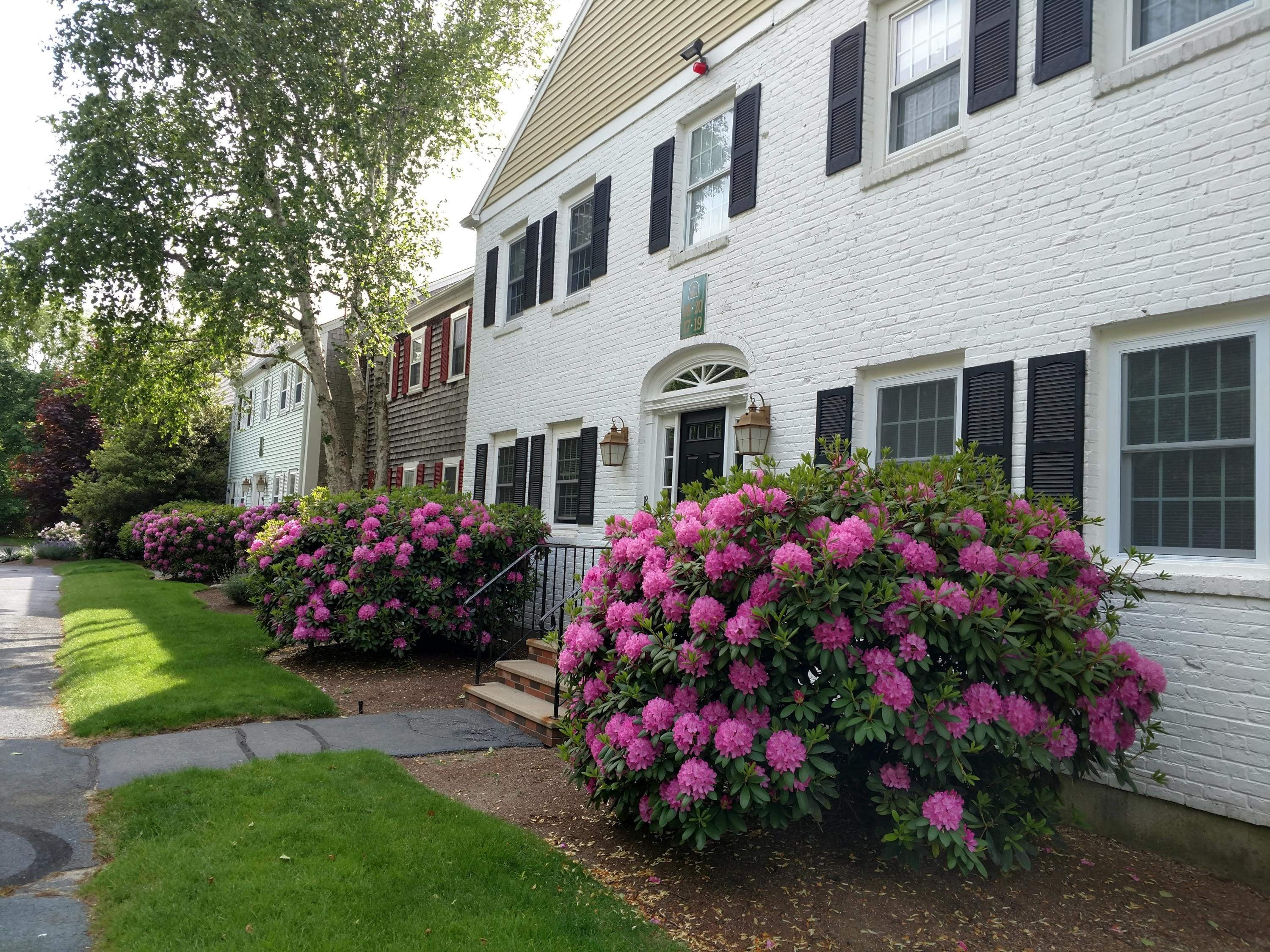 683 Old Post Road, Unit U18 Dennis, MA 02638 - Photo 2 of 26 a front view of a house with a yard and fountain in middle
