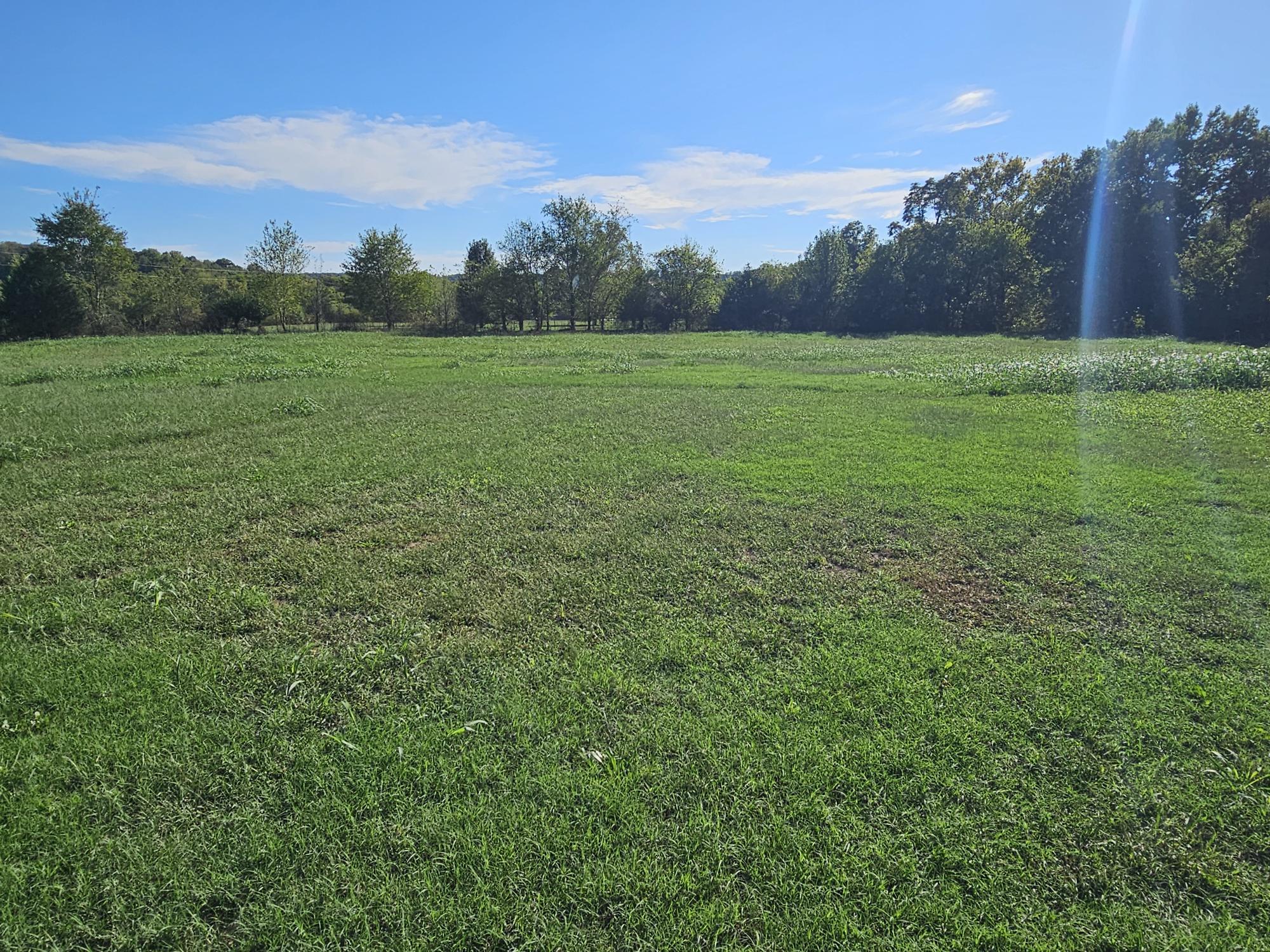 205 Franklin Road Anderson, MO 64831 - Photo 38 of 47 tomlinson pic-d-pasture