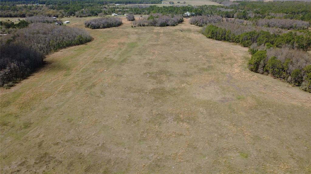 1092 State Rte 415 New Smyrna Beach, FL 32168 - Photo 6 of 9 a view of a dry yard with green space