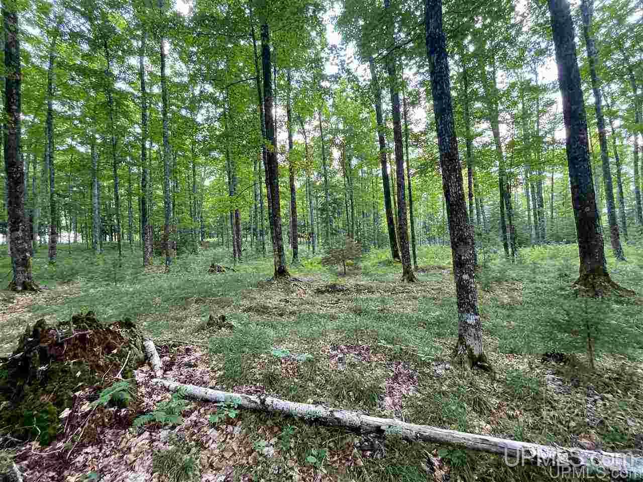 Tbd Sand Road, Unit 2 Powers, MI 49874 - Photo 34 of 38
