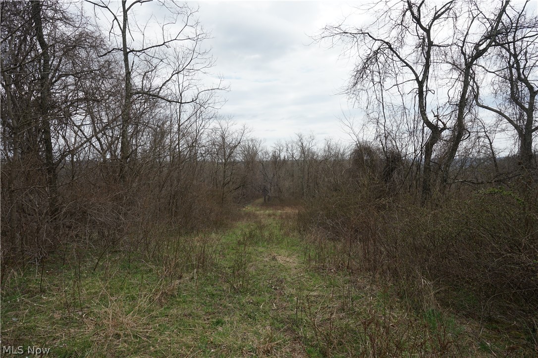 56835 Stephens Road Jacobsburg, OH 43933 - Photo 44 of 50
