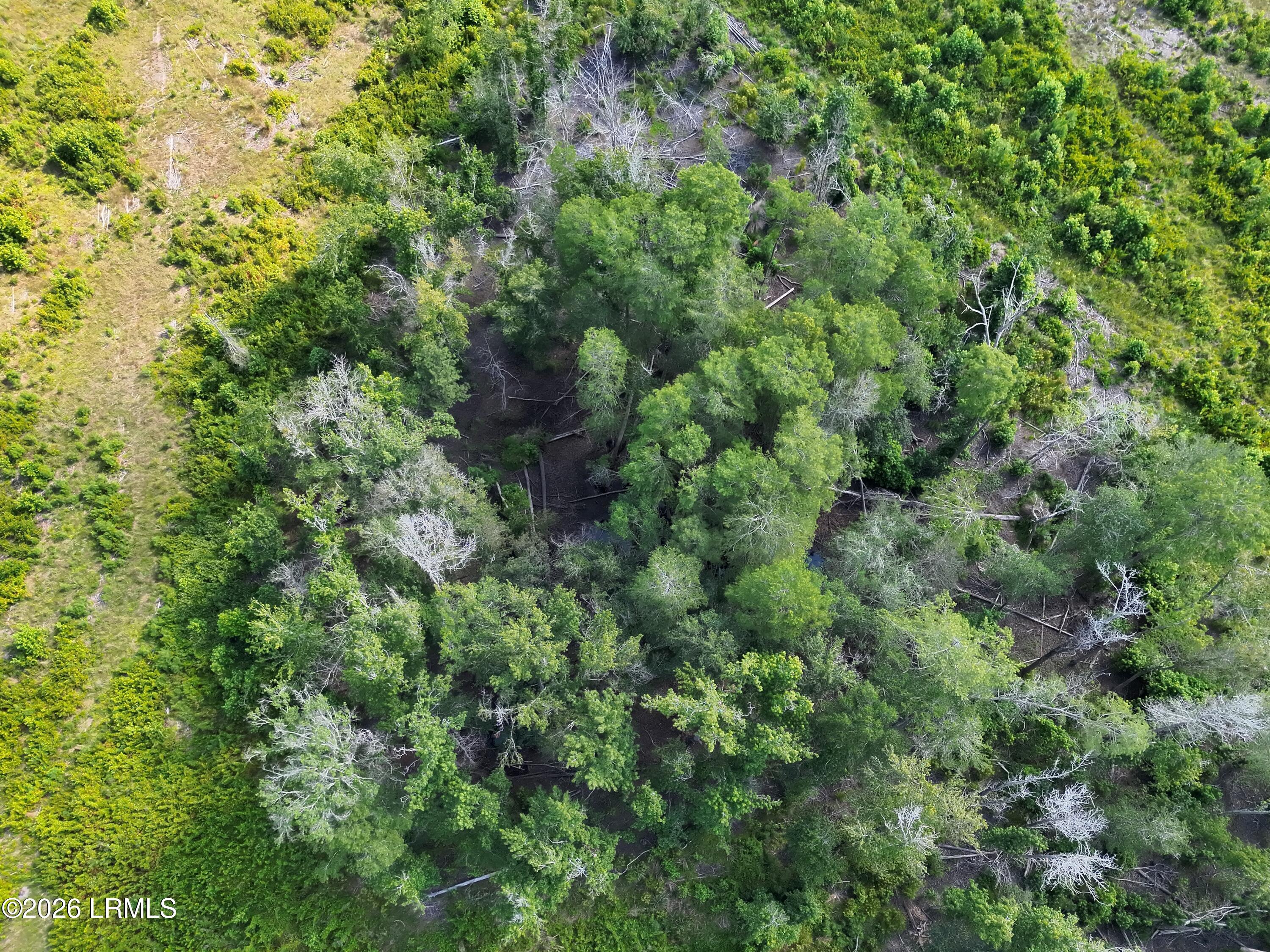 Tbd Hunters Chapel Road Bamberg, SC 29003 - Photo 13 of 14 DJI_20260630101950_0006_V