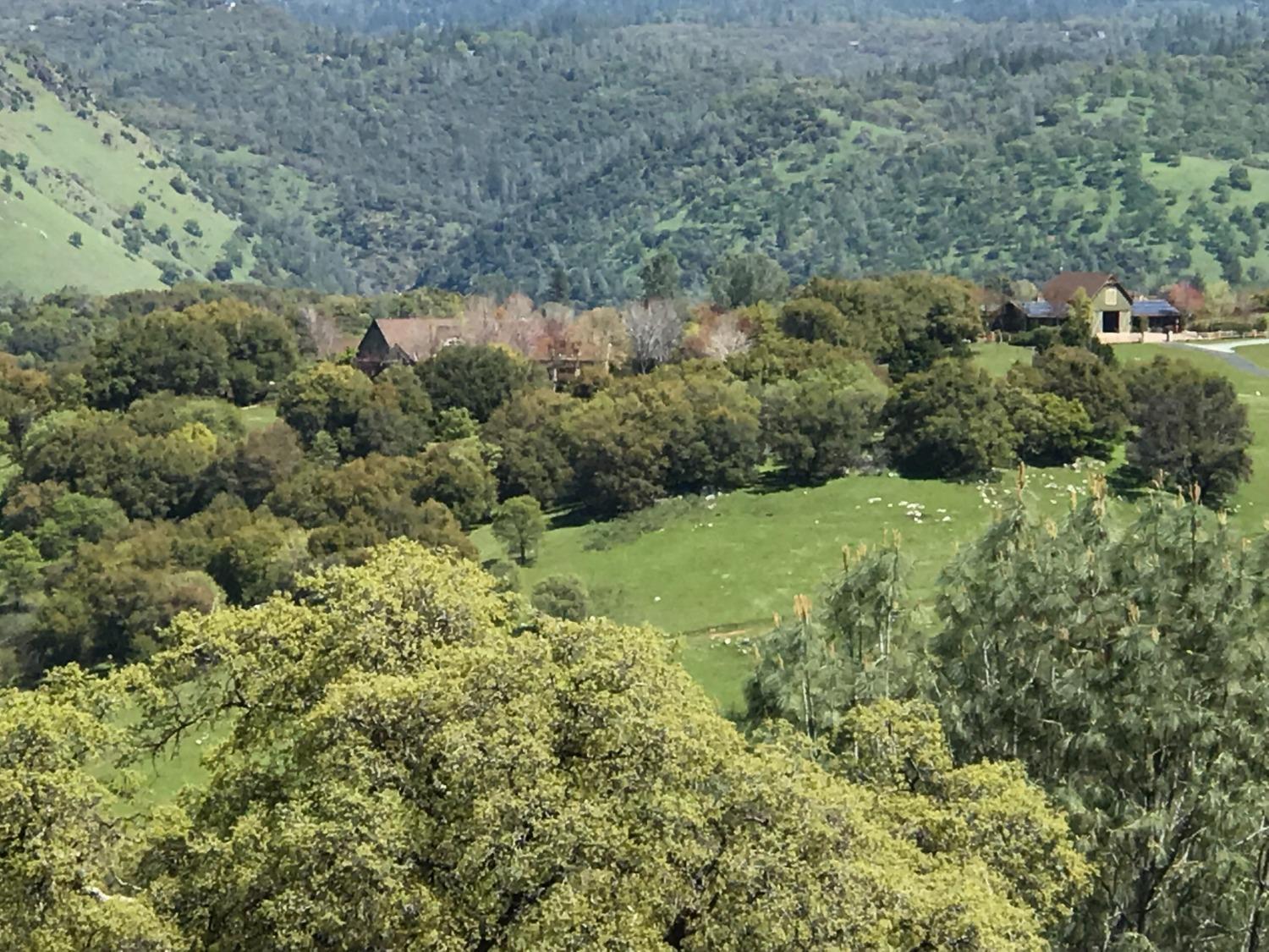 5080 Thompson Hill Road Placerville, CA 95667 - Photo 26 of 37