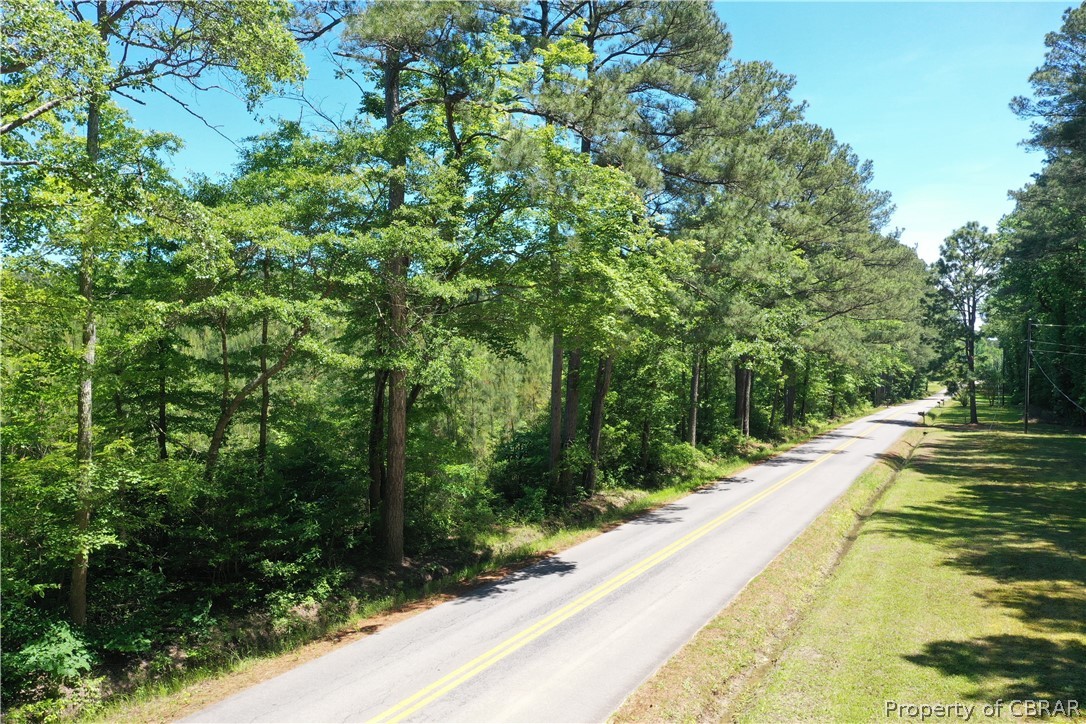 16-ac Ridge Road Cobbs Creek, VA 23035 - Photo 7 of 43 View of street