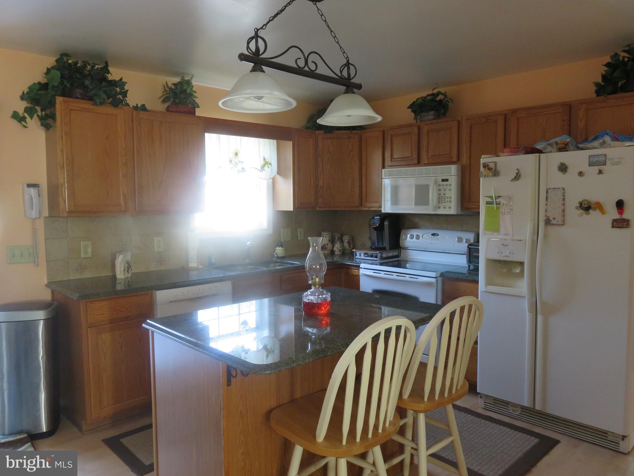 8501 Deer Run Road Denton, MD 21629 - Photo 19 of 30 Kitchen