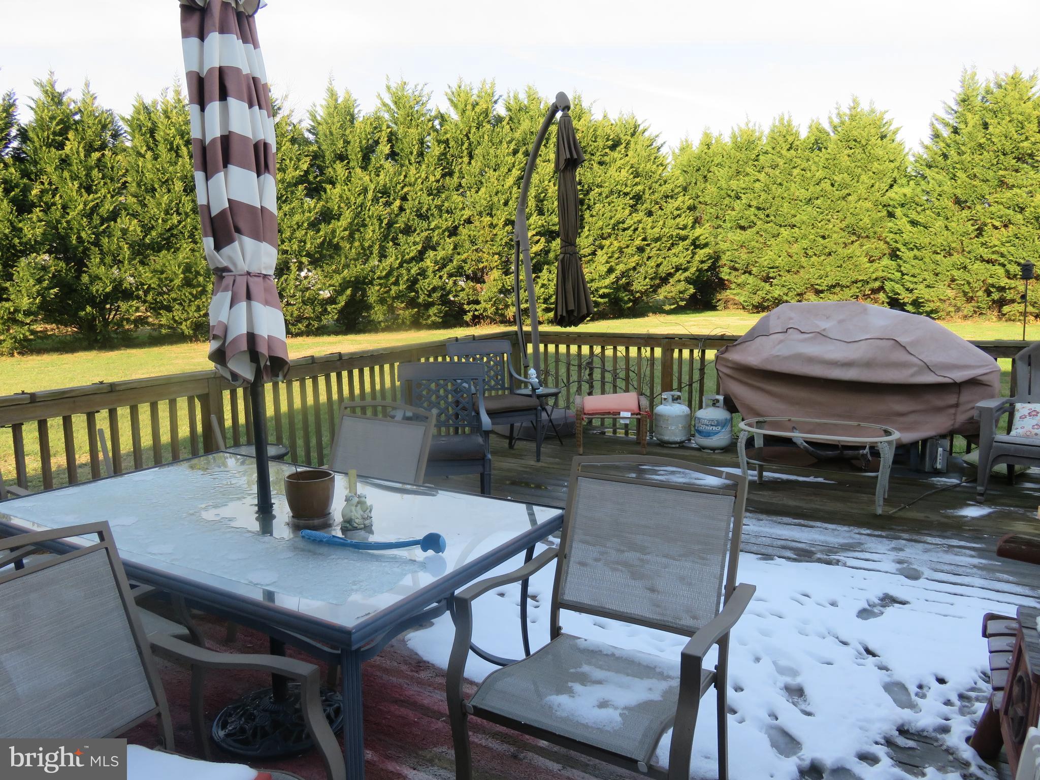 8501 Deer Run Road Denton, MD 21629 - Photo 24 of 30 Deck