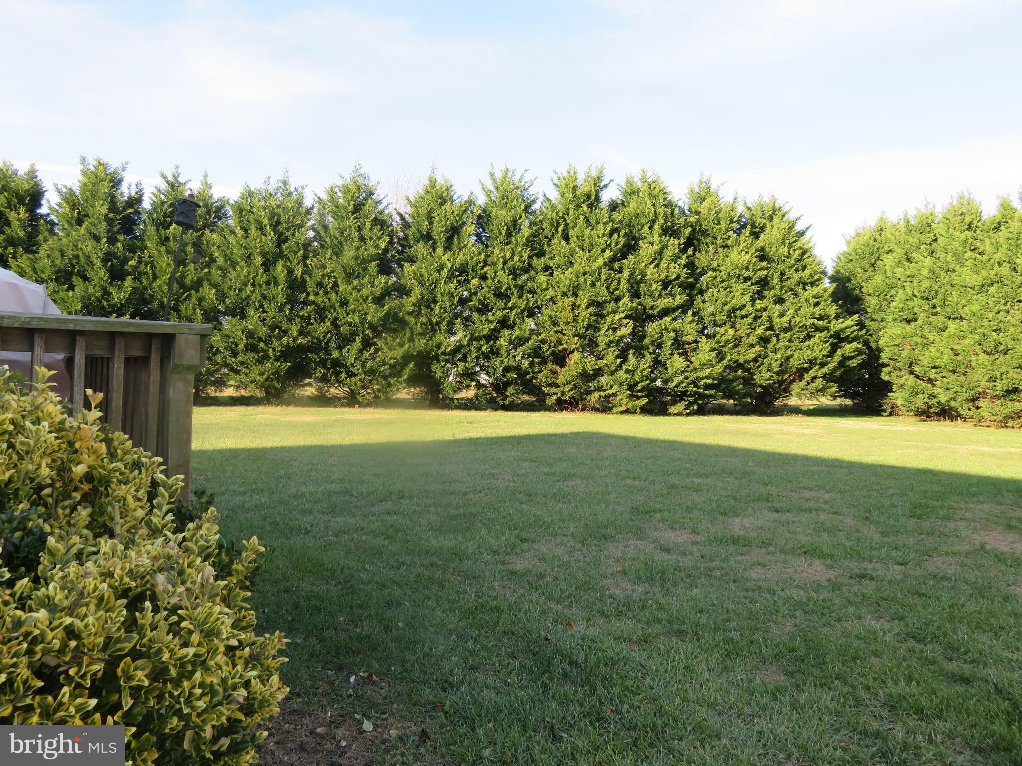 8501 Deer Run Road Denton, MD 21629 - Photo 26 of 30 Exterior (General)
