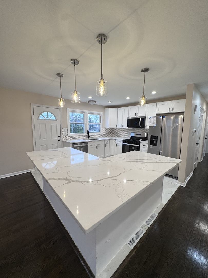 1338 Jill Terrace Homewood, IL 60430 - Photo 4 of 20 a large kitchen with stainless steel appliances a large counter top