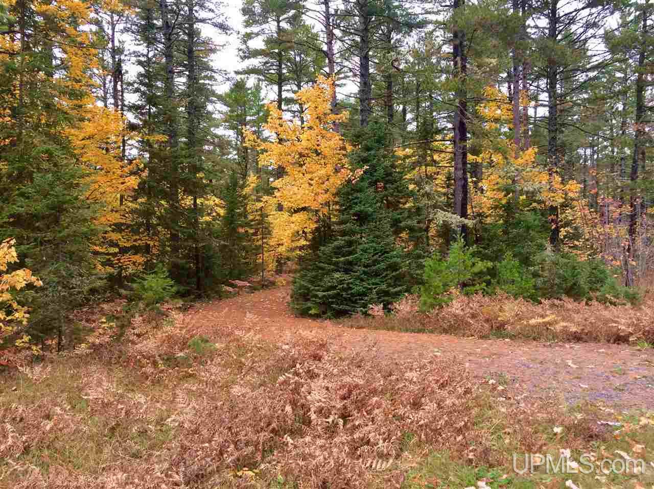 Tbd Bete Grise Road, Unit LOT 13 Mohawk, MI 49950 - Photo 5 of 18