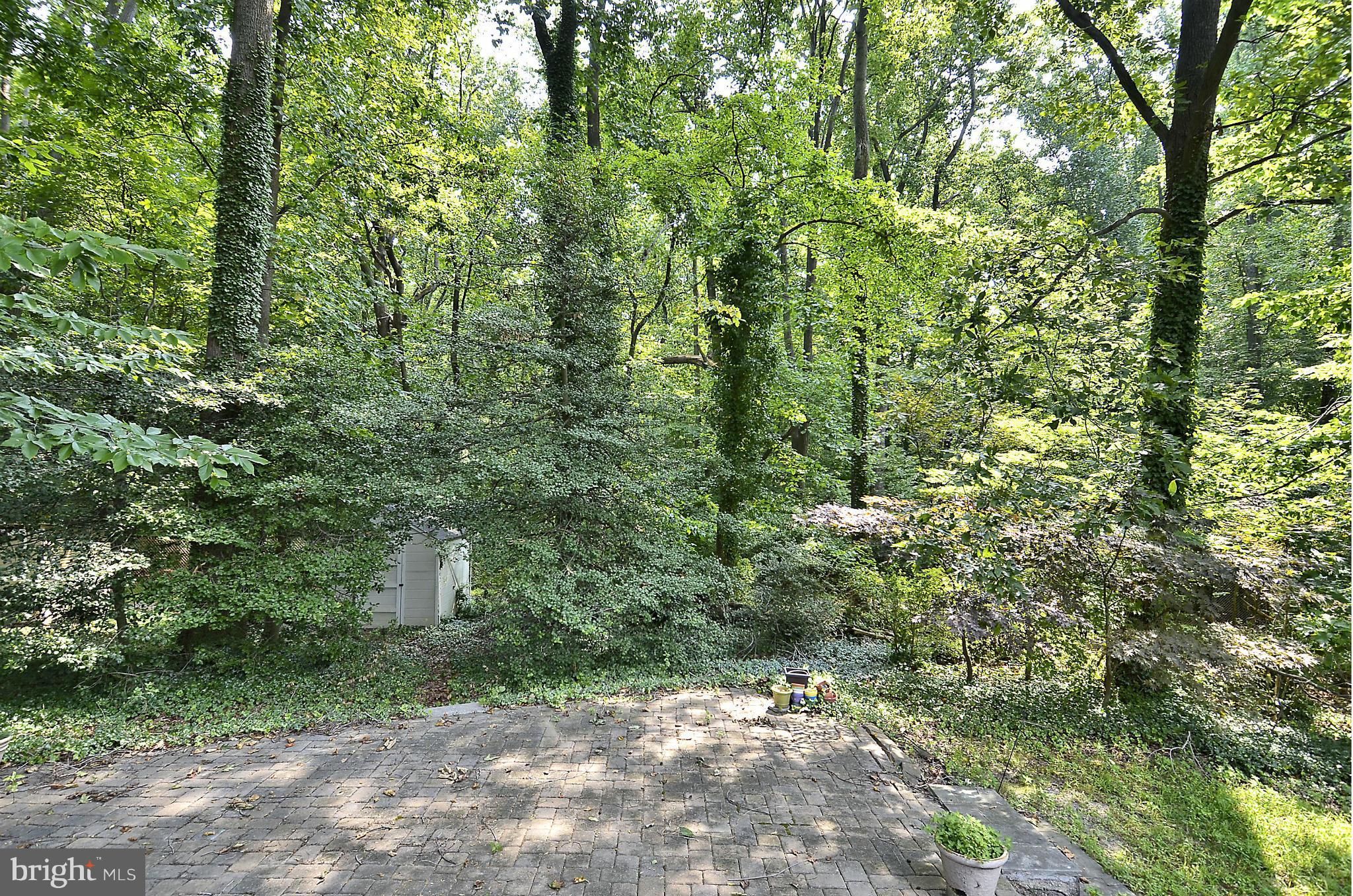 10623 Kinloch Road Silver Spring, MD 20903 - Photo 14 of 21 Exterior (Rear)