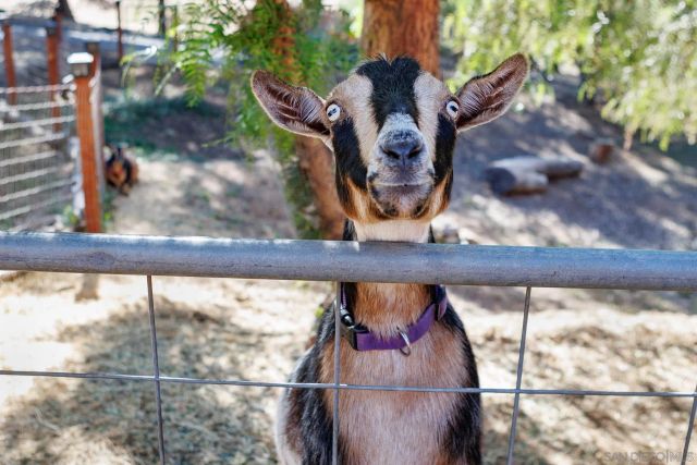 an outdoor space with seating