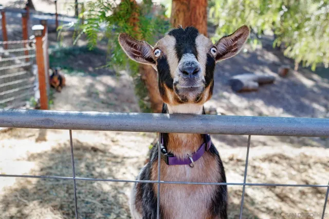 an outdoor space with seating