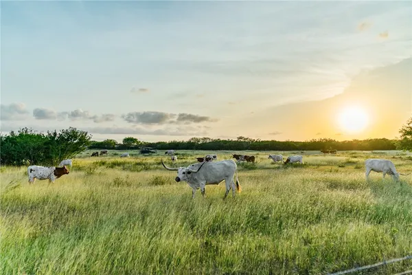 $290,000 | 142 Meadow Trail, Sandia, TX 78383