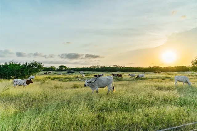 $290,000 | 142 Meadow Trail, Sandia, TX 78383