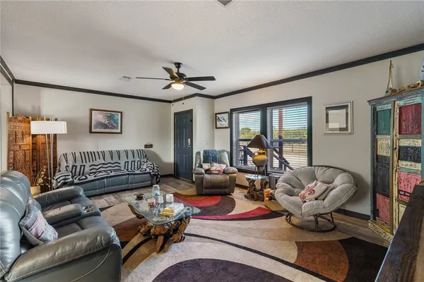 a living room with furniture or couch and a potted plant