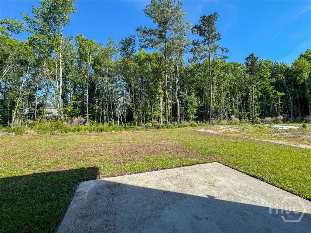 124 Providence Loop Hinesville, GA 31313 - Photo 12 of 25