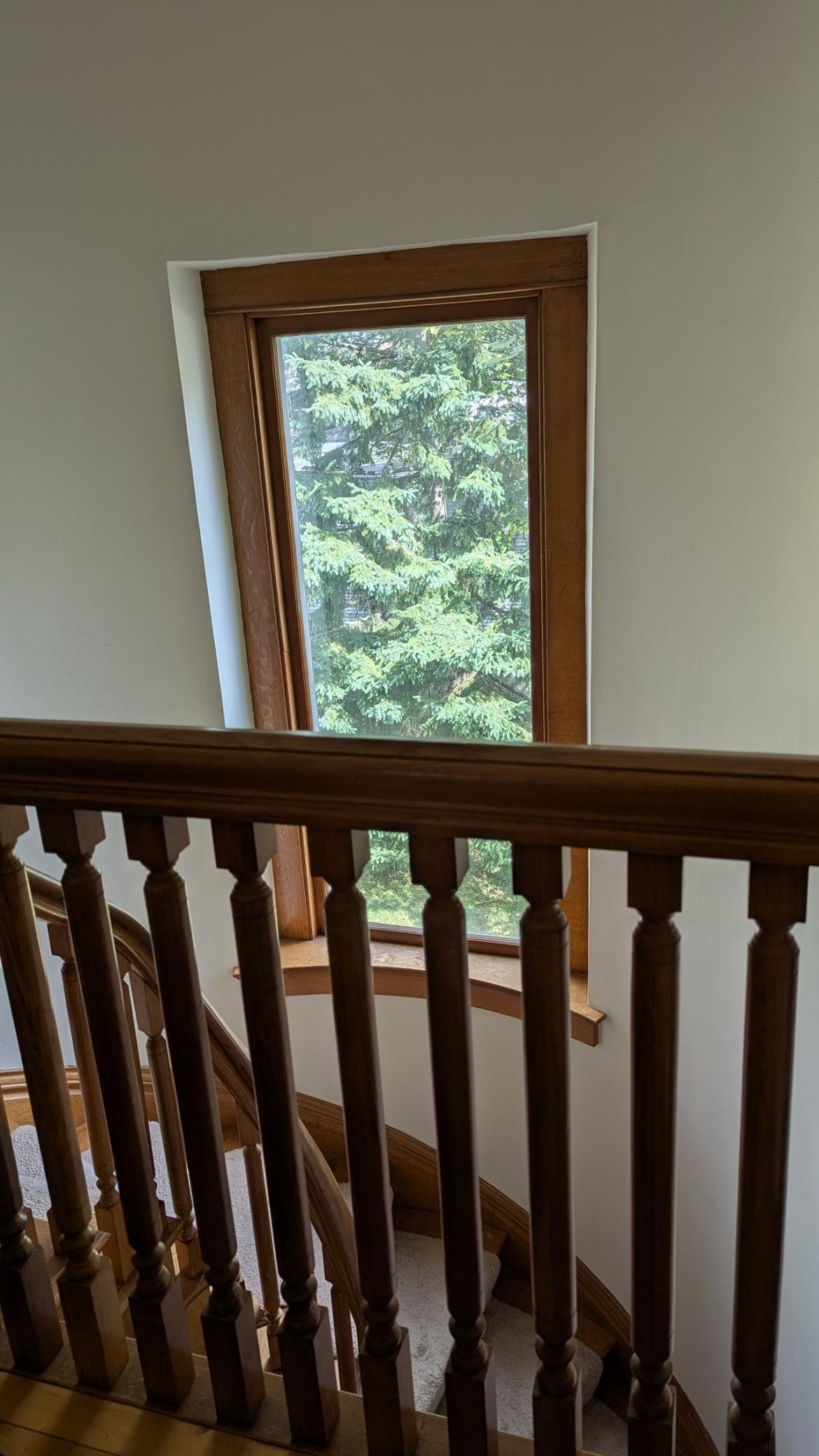 209 Oak Avenue Southwest Montgomery, MN 56069 - Photo 32 of 82