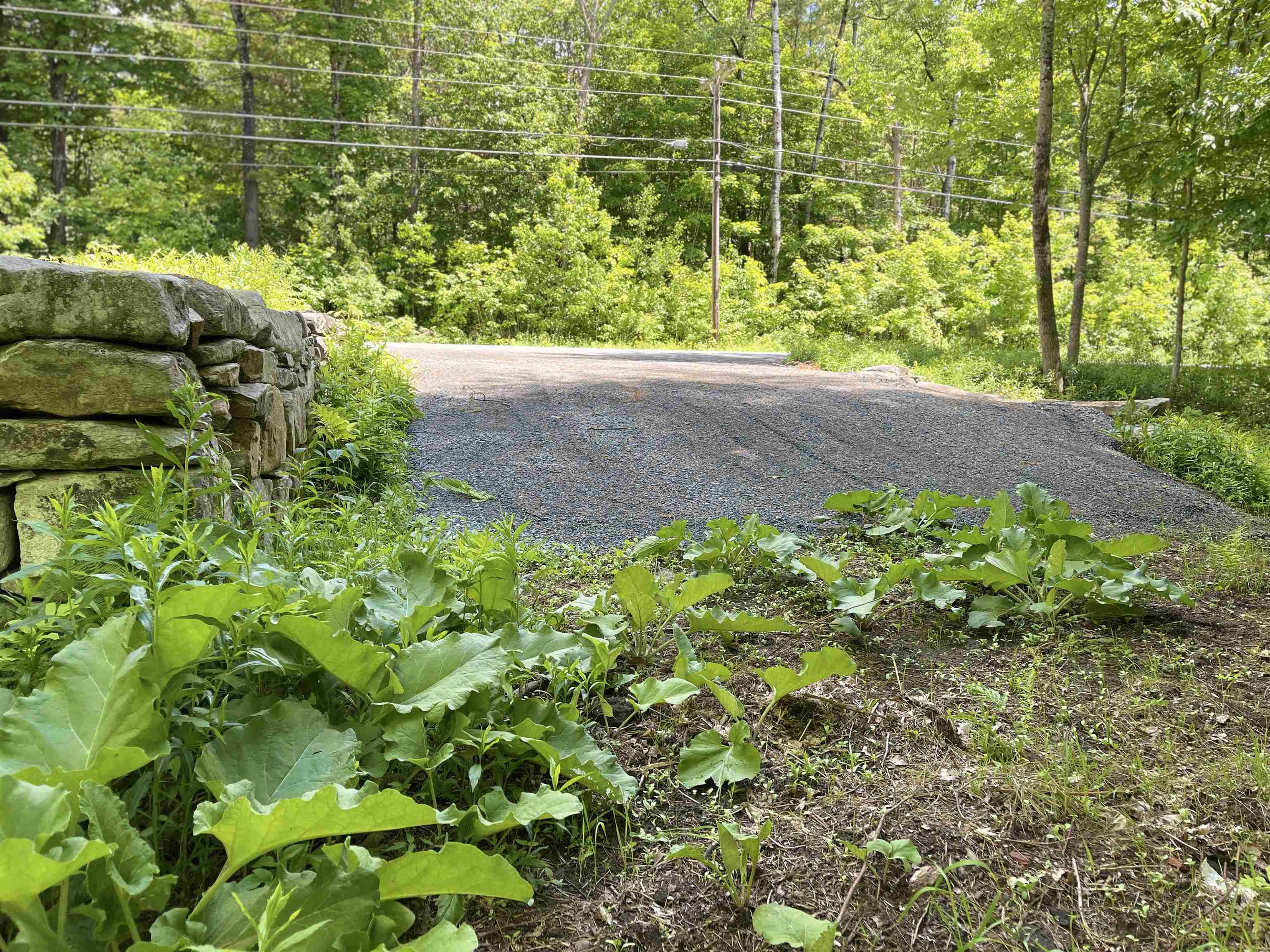 0 George Hill Road Enfield, NH 03748 - Photo 4 of 9