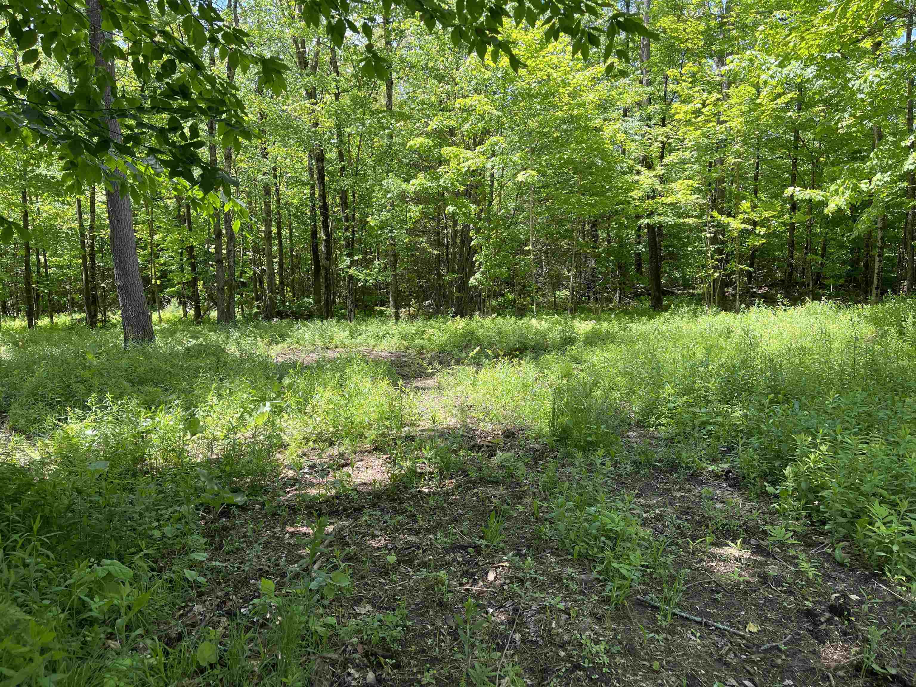 0 George Hill Road Enfield, NH 03748 - Photo 8 of 9