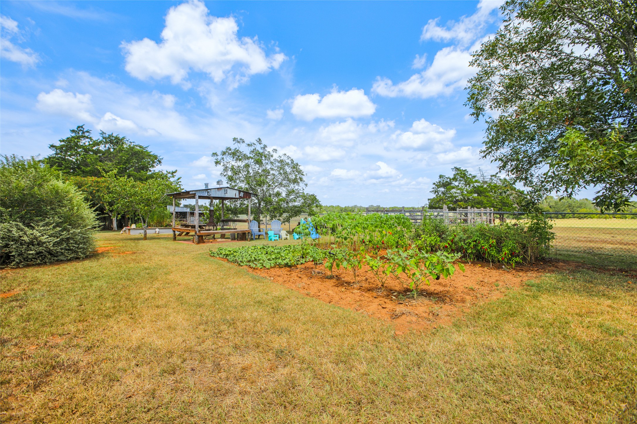 372 Hofferek Road Rosanky, TX 78953 - Photo 26 of 40 View of yard