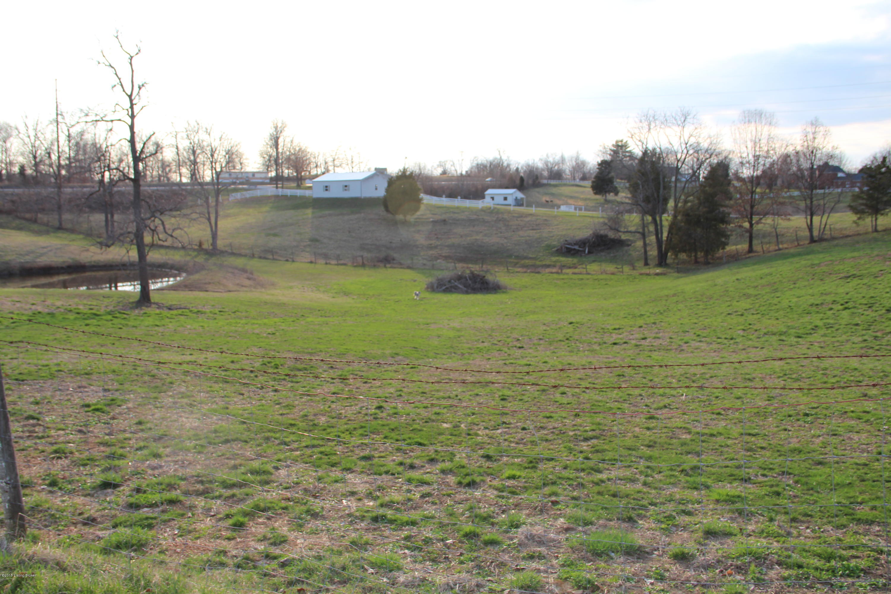 Lot 4 Rock Ridge Road Brandenburg, KY 40108 - Photo 4 of 9 IMG_0722