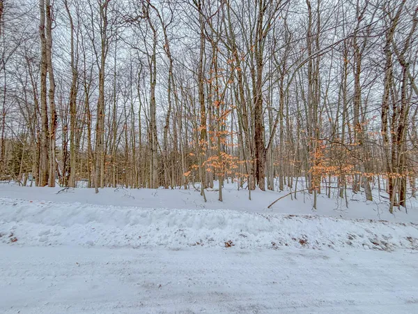 $3,000 | 12349 Wagon Wheel Trail, Unit 386, Canadian Lakes, MI 49346