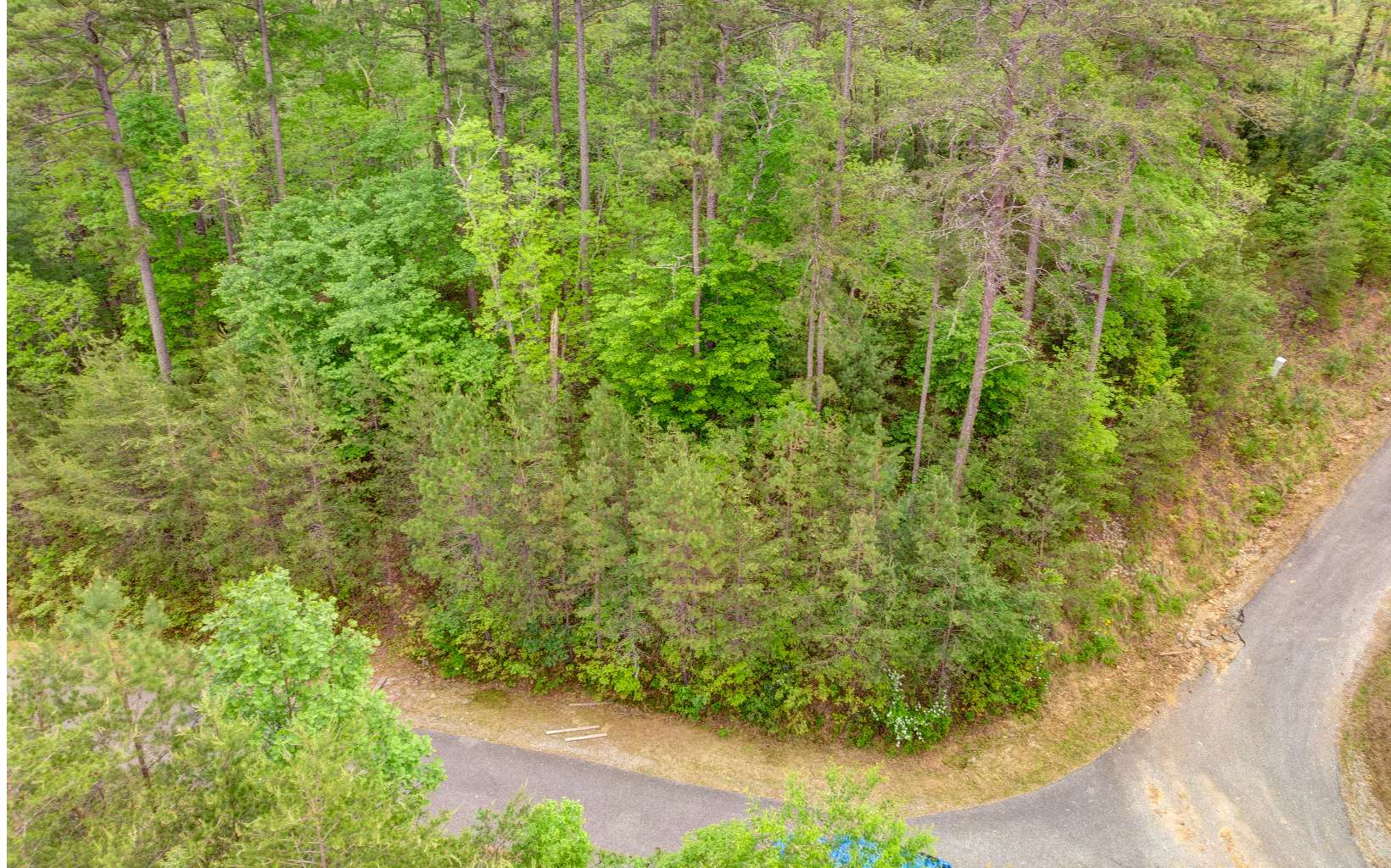 Additional View