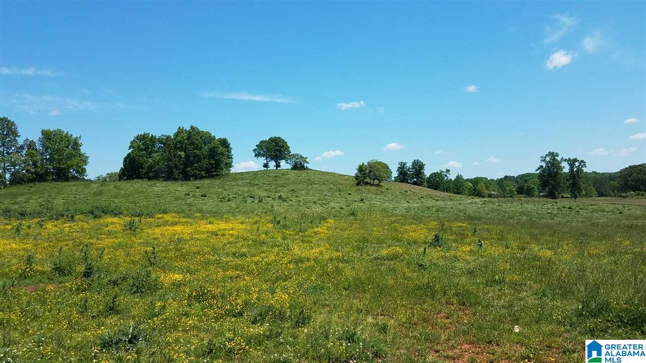 31 County Road Ashland, AL 36251 - Photo 27 of 38
